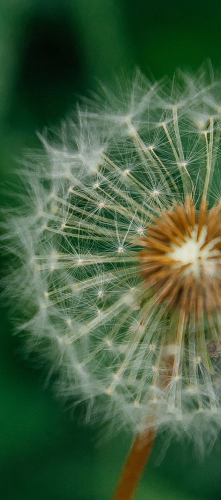 Photograph by Ирина Матюхина