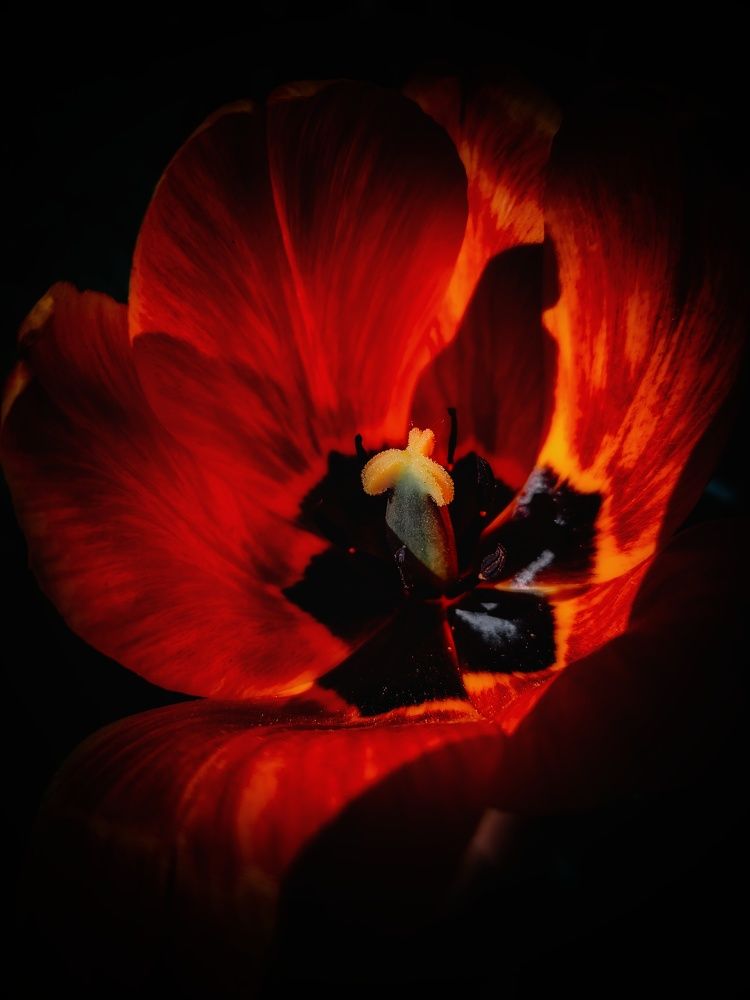 Photograph by Кристина Полякова