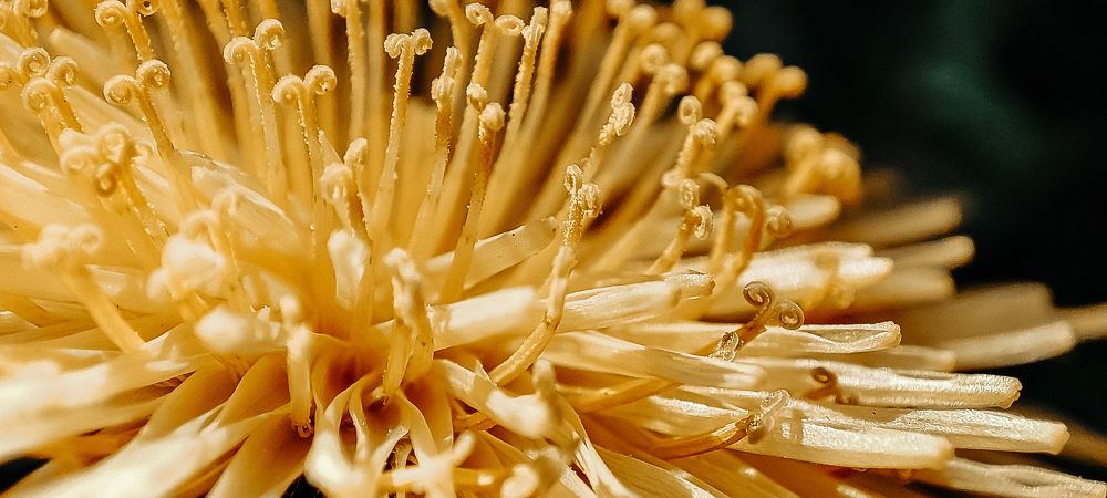 Photograph by Ирина Матюхина