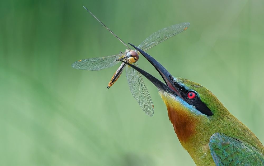 Photograph by Md Rezwan