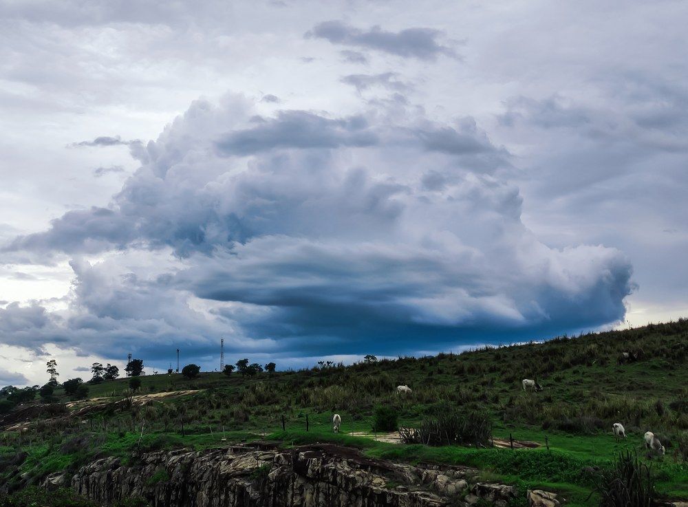 Photograph by Silvestre Seletes