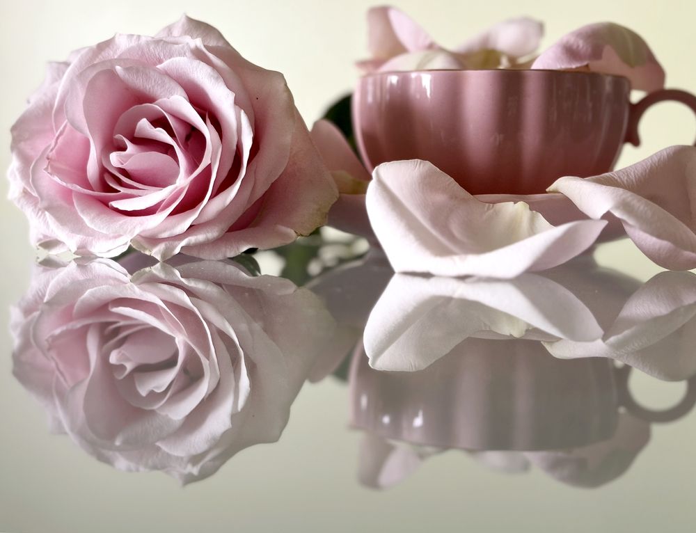 Photograph by Liliana Grup