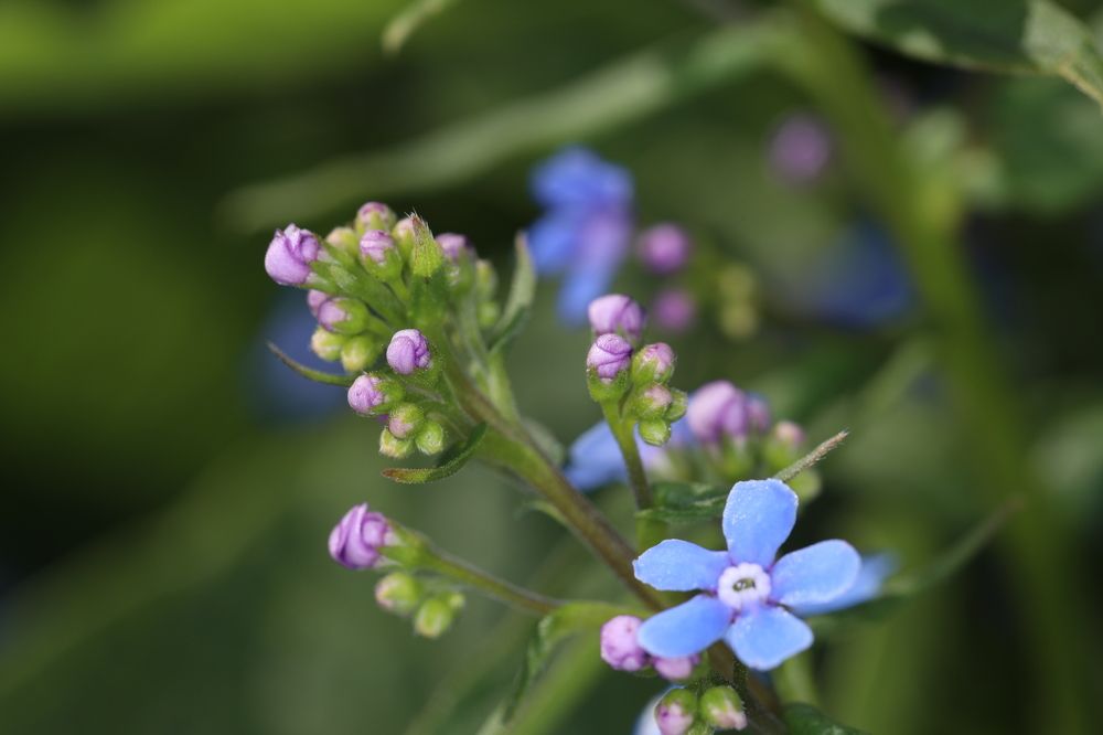 Photograph by Сергей Мозговой