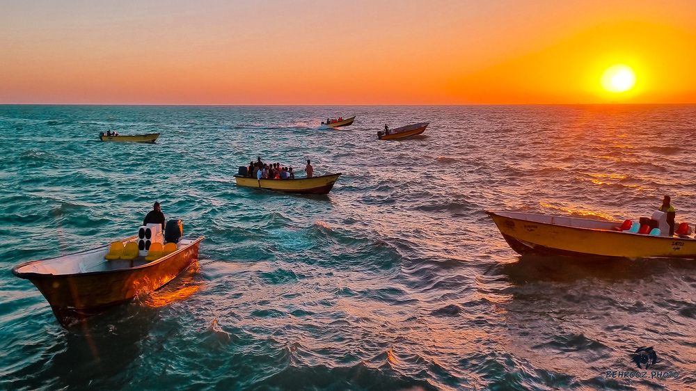 Фотография автора behrooz roosta