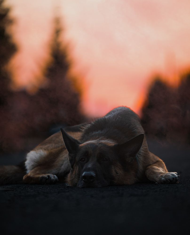 Photograph by Милана Бабченко