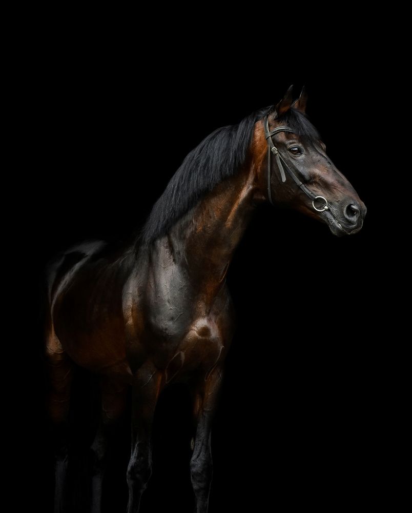 Photograph by Кристина Горковская