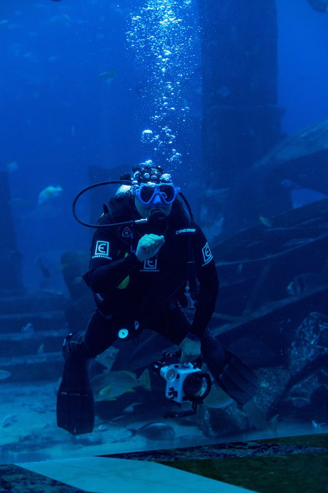 Фотография автора Fallen Angel