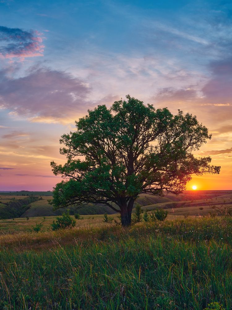 Photograph by Дыбов Дмитрий
