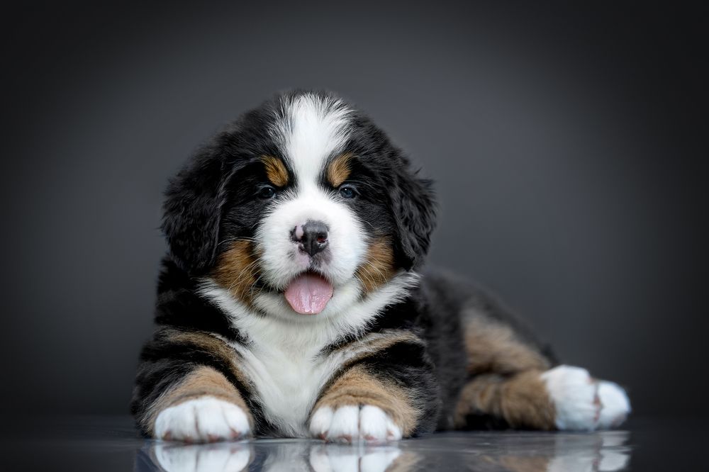 Photograph by Ирина Голомб