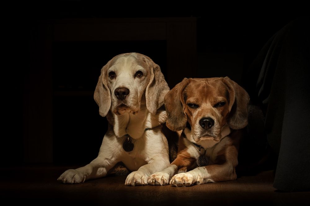 Photograph by Юлия Куликова