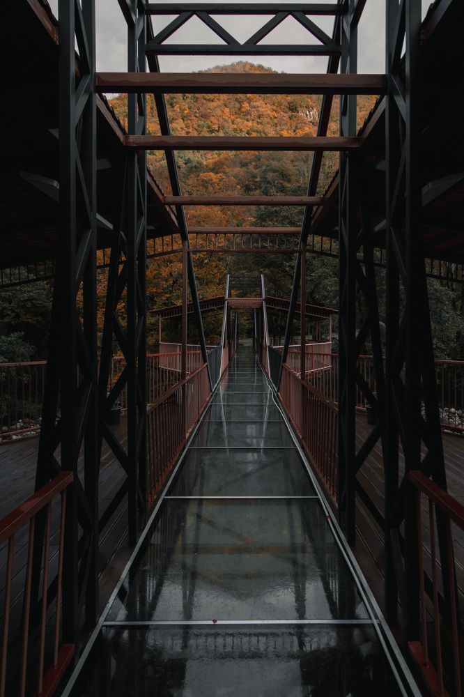 Фотография автора Fallen Angel