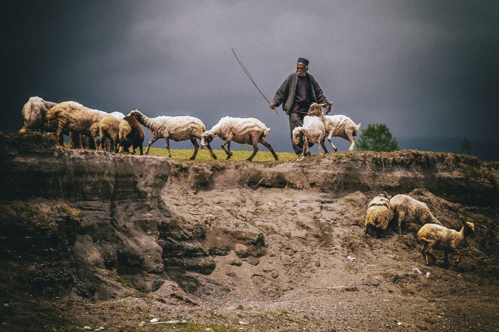 Photograph by DAMOUN POURNEMATI