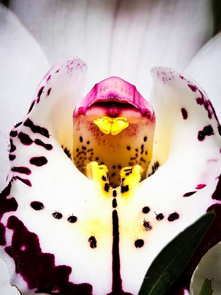 Photograph by Светлана Широкова