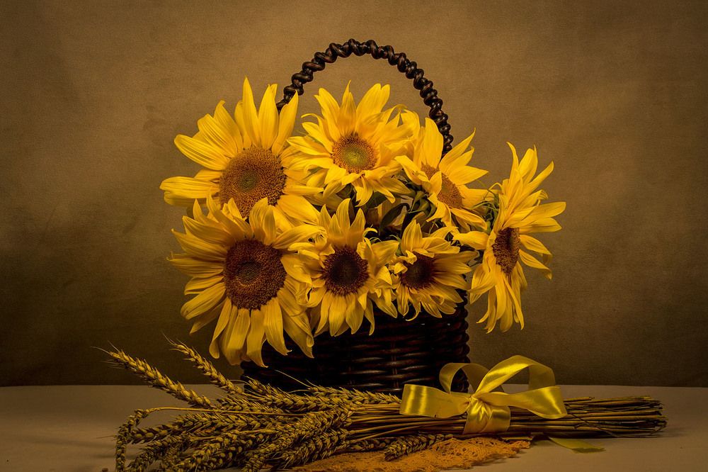 Photograph by Людмила Павловна