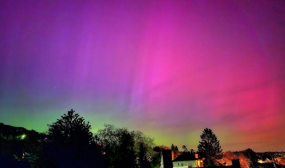 Photograph by Olga Siebert