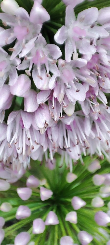 Photograph by Светлана Батурова