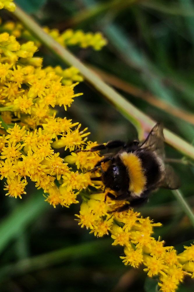 Photograph by Evgenia Korchagova