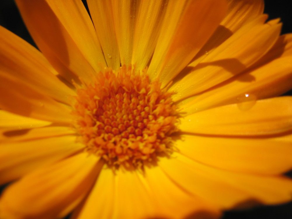 Photograph by Юлия