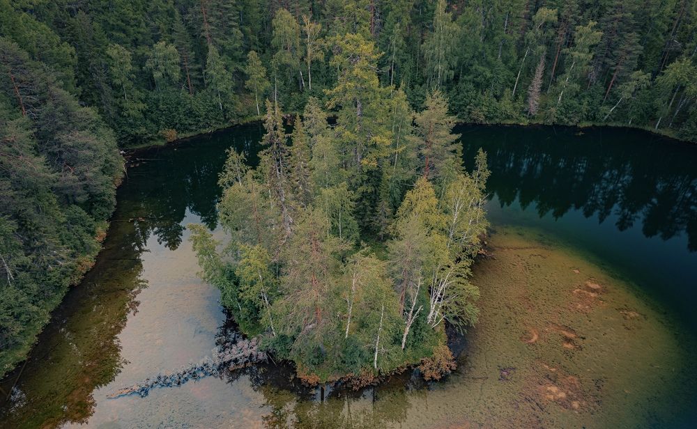 Photograph by Vladislav Trushkov