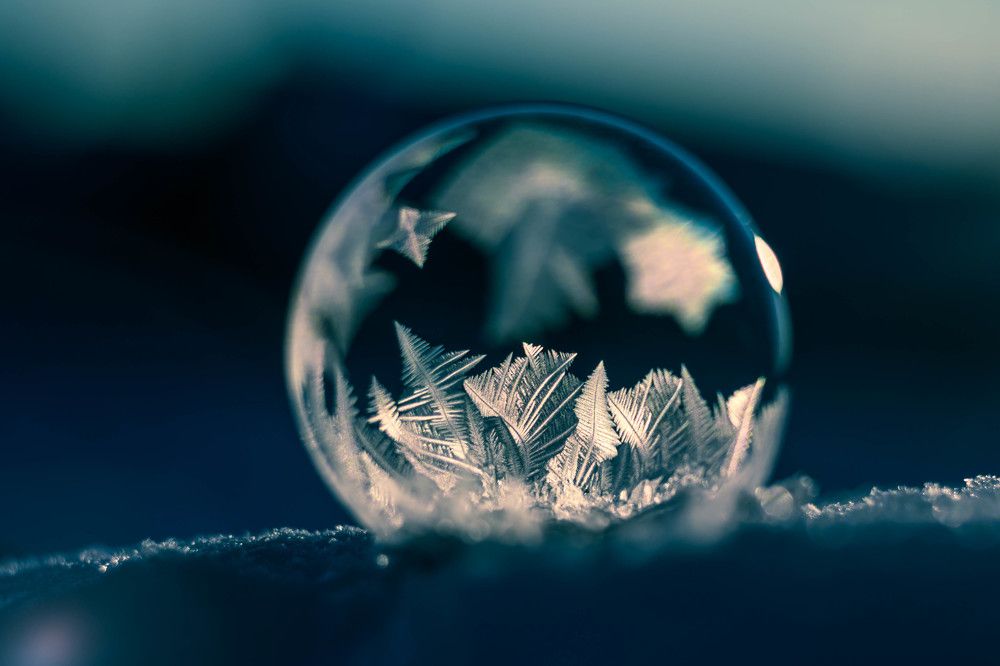 Photograph by Людмила Прибылова