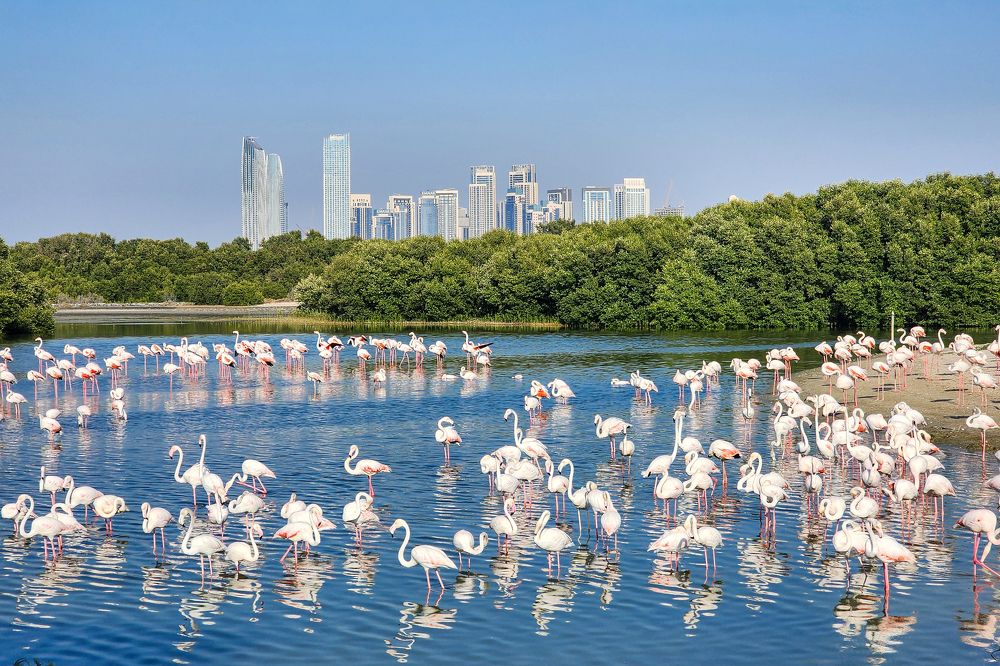 Фотография автора Tatiana Reef