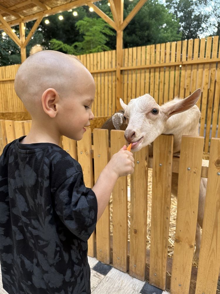 Photograph by Лилия