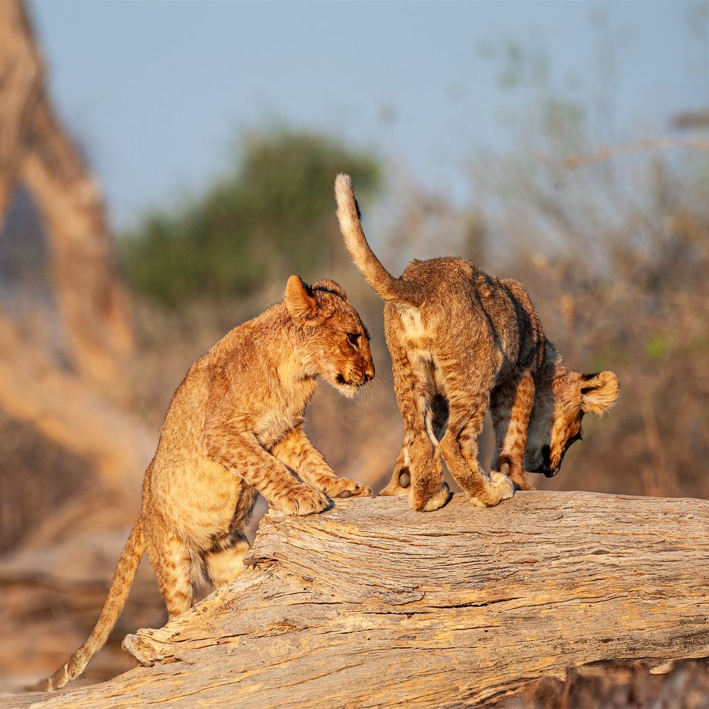 Фотография автора Виталий Филючков