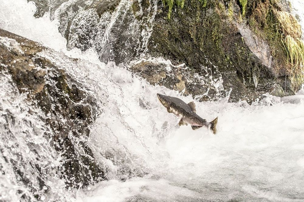 Фотография автора Виталий Филючков