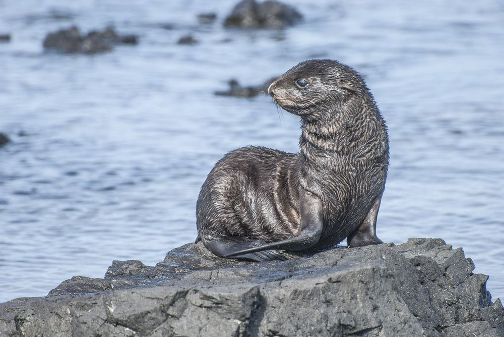 Фотография автора Виталий Филючков