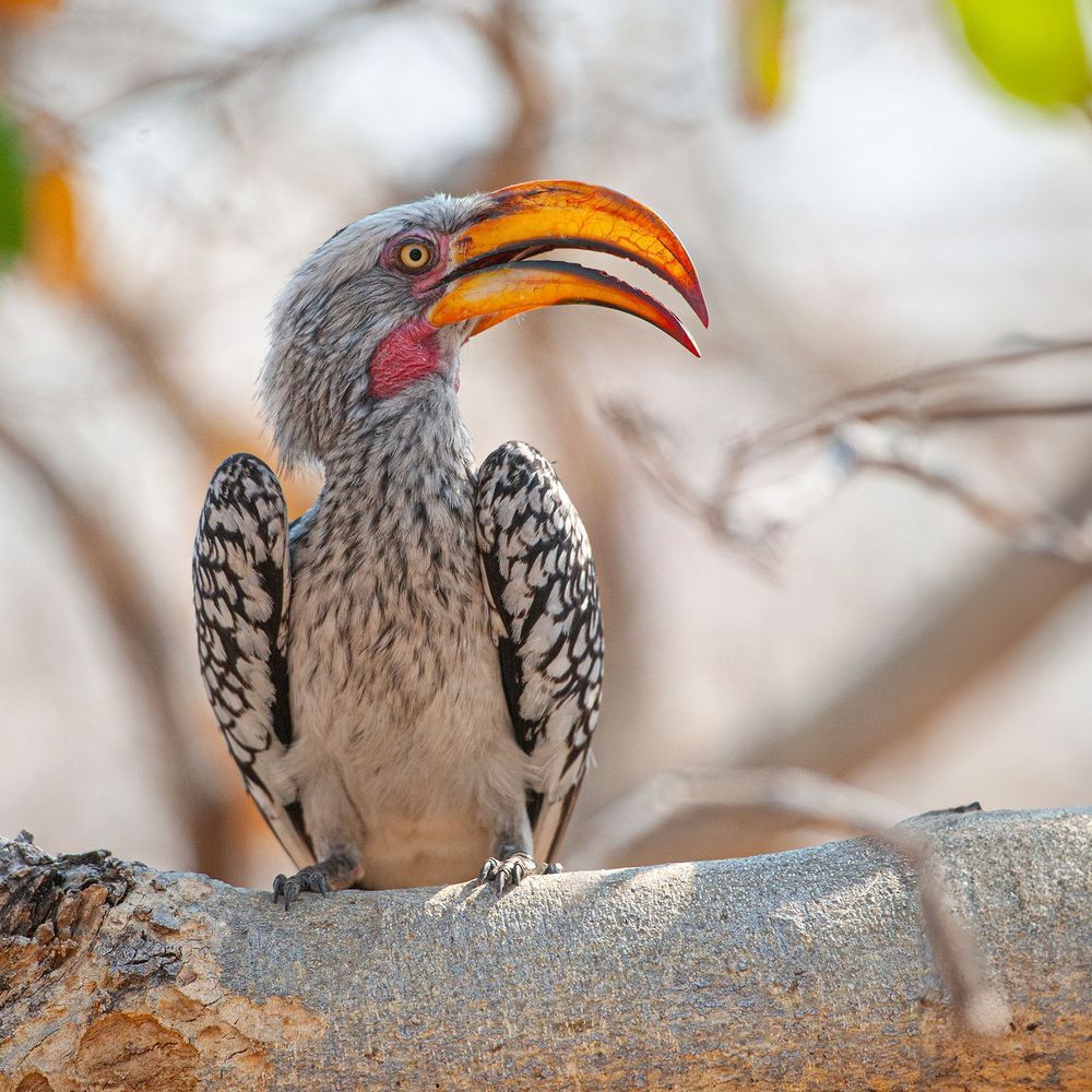 Фотография автора Виталий Филючков