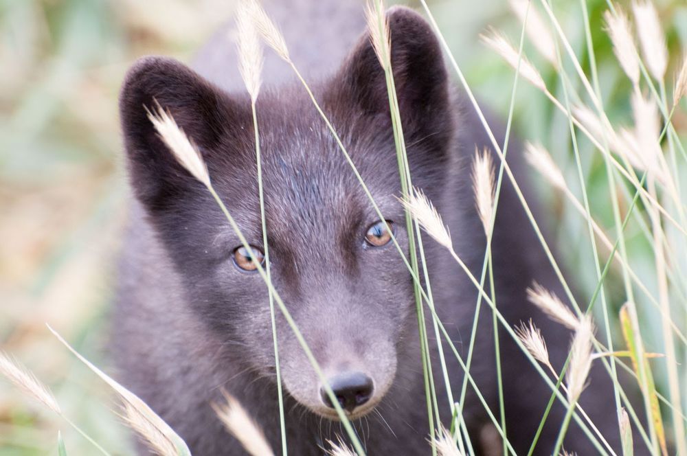 Фотография автора Виталий Филючков