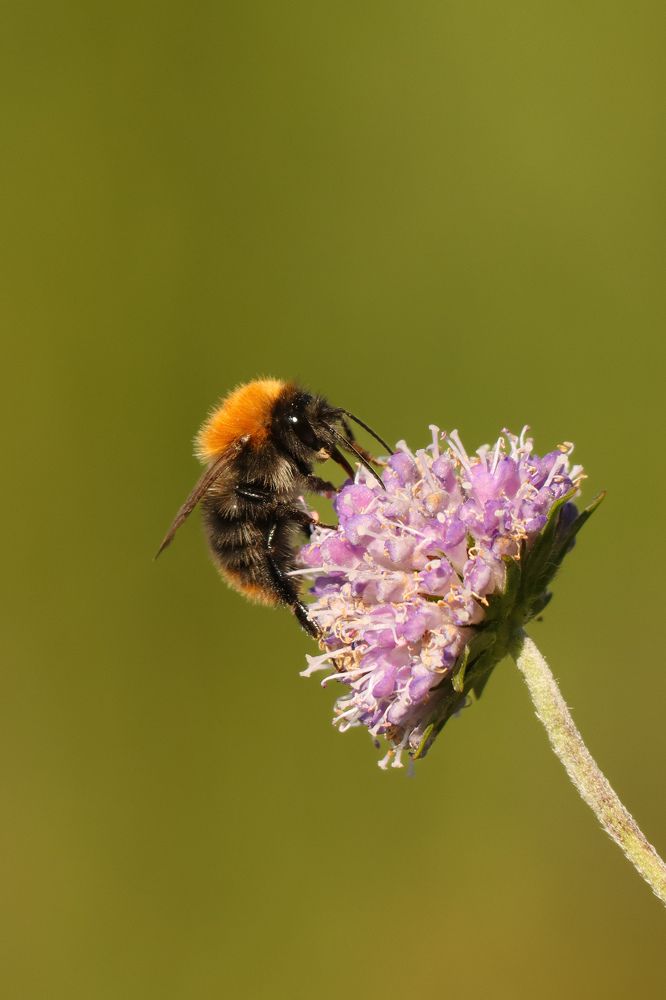 Photograph by Ангелина Высочина