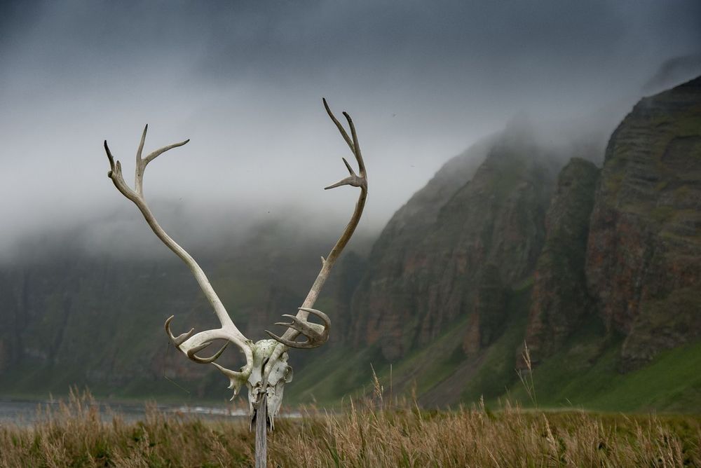Фотография автора Виталий Филючков