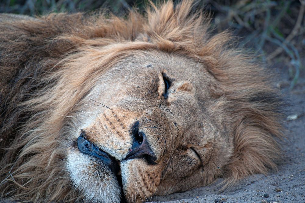 Фотография автора Виталий Филючков