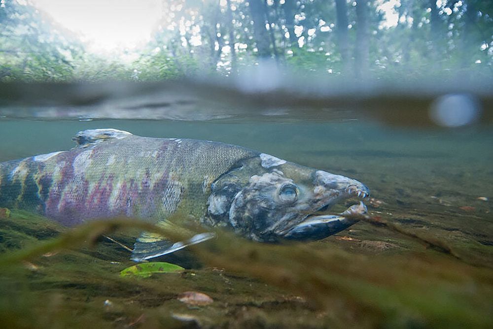 Фотография автора Виталий Филючков