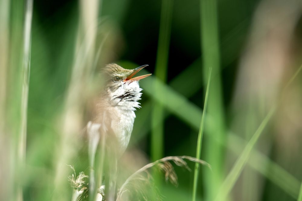 Photograph by Александр Козин