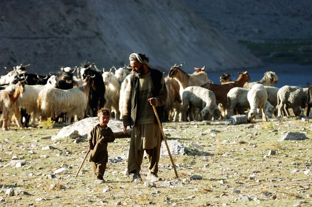 Photograph by Александр Перов