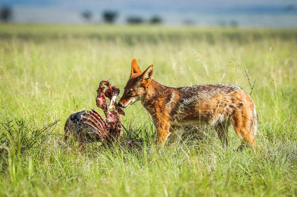 Photograph by Nadine Leonard