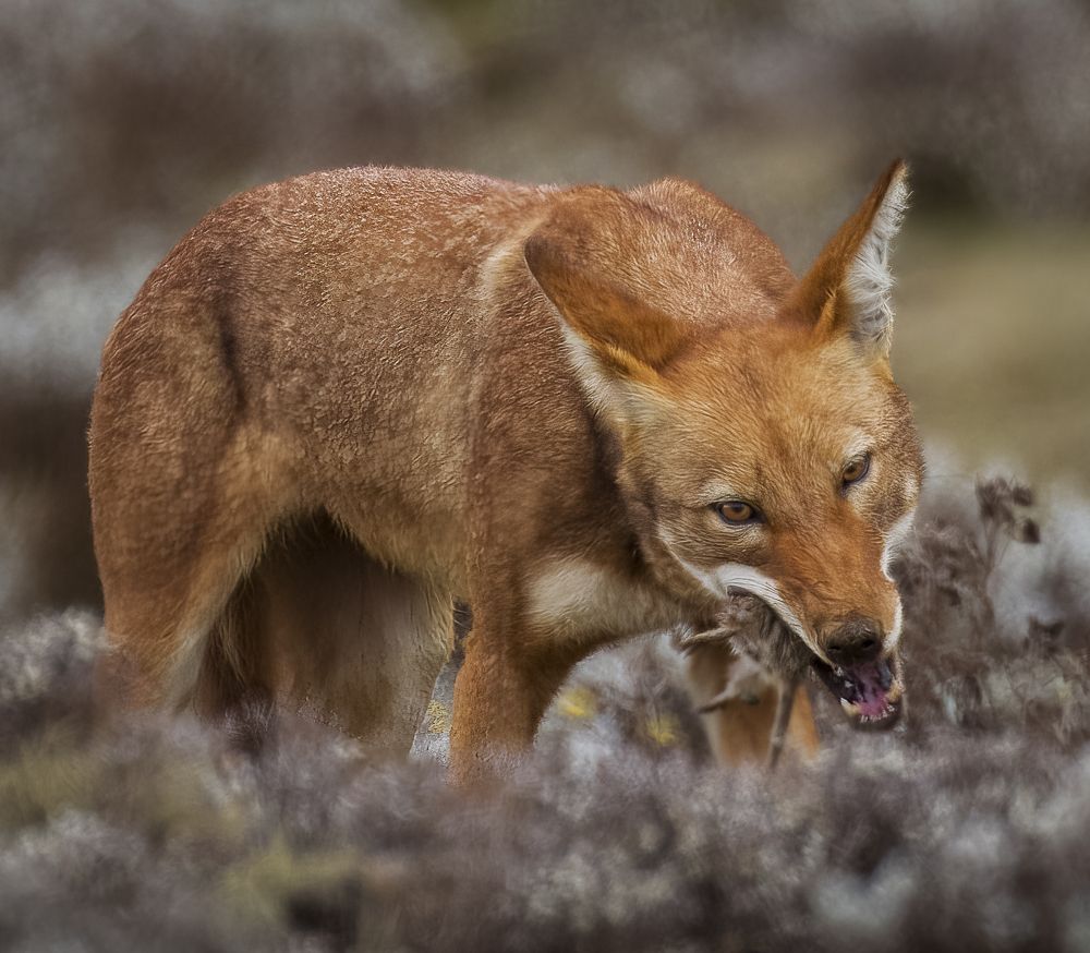 Photograph by Turgay Uzer
