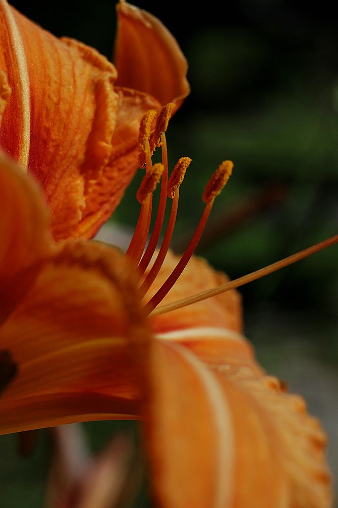 Photograph by Наталья Преснякова