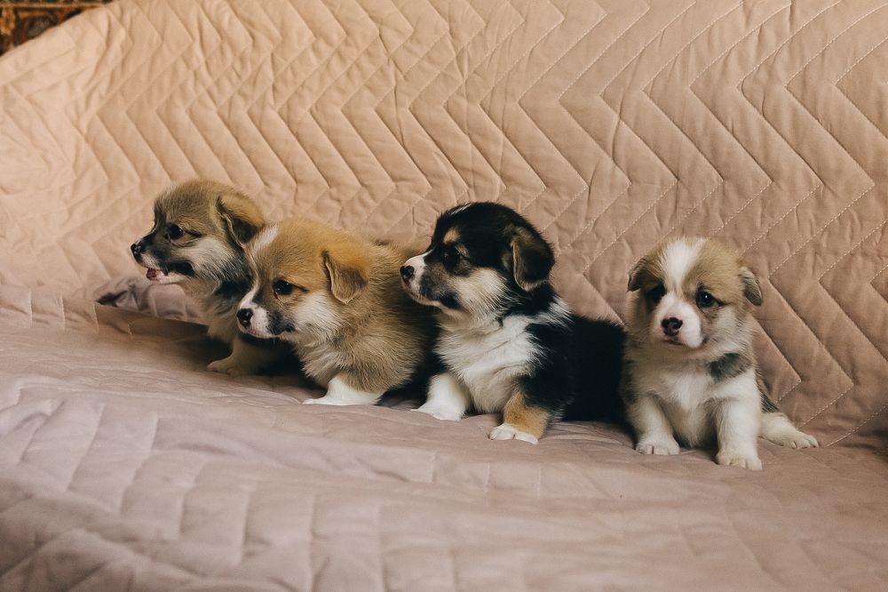 Photograph by Надежда Онищенко