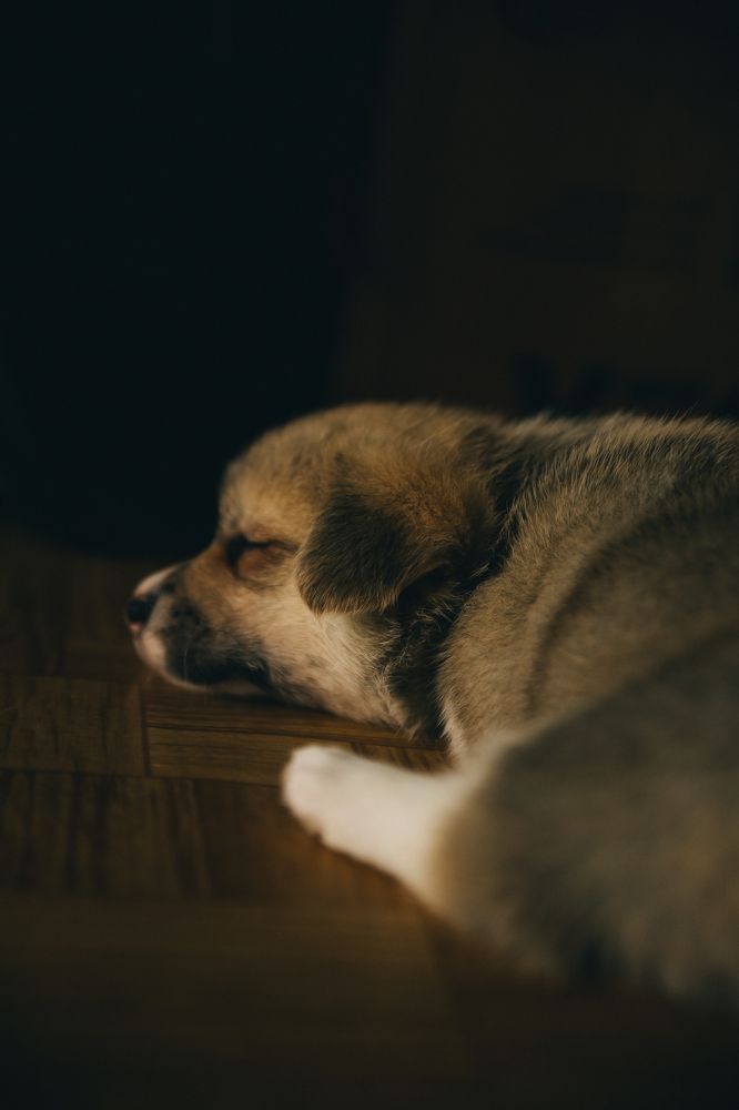 Photograph by Надежда Онищенко