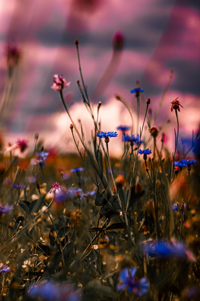 Фотография автора Настя Салтыкова