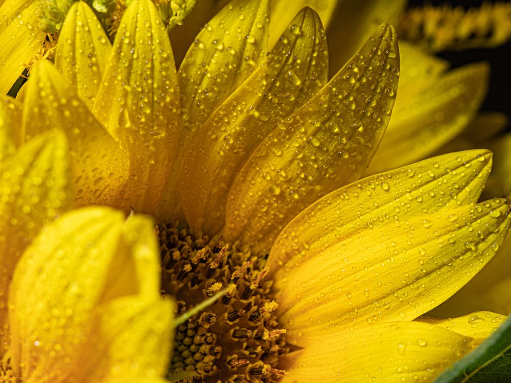 Photograph by Дмитрий Давидов