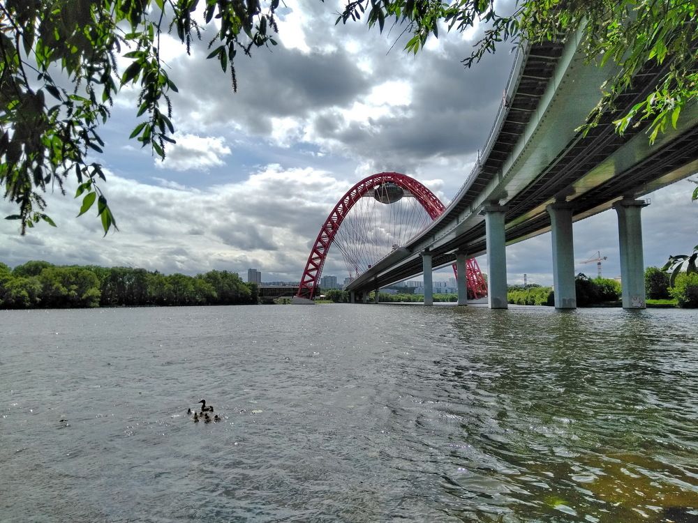 Под Живописным мостом