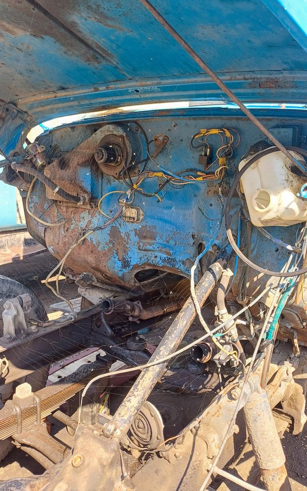 Photograph by Ирина Дмитриенко