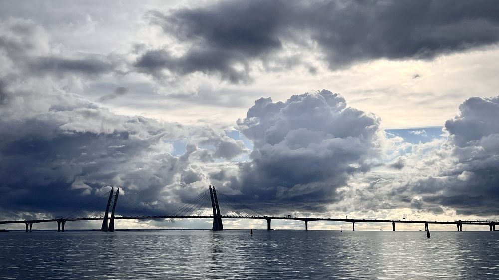 “Дождь проснулся».