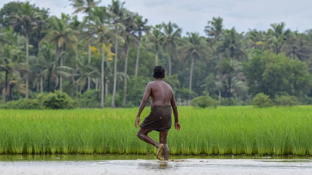 Photograph by Faisal Fasaludeen