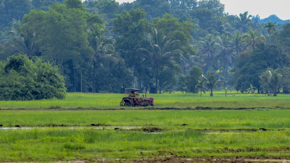 Photograph by Faisal Fasaludeen