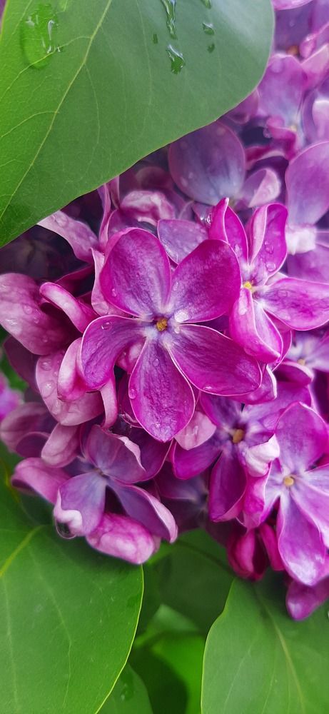 Photograph by Анастасия Тазиева